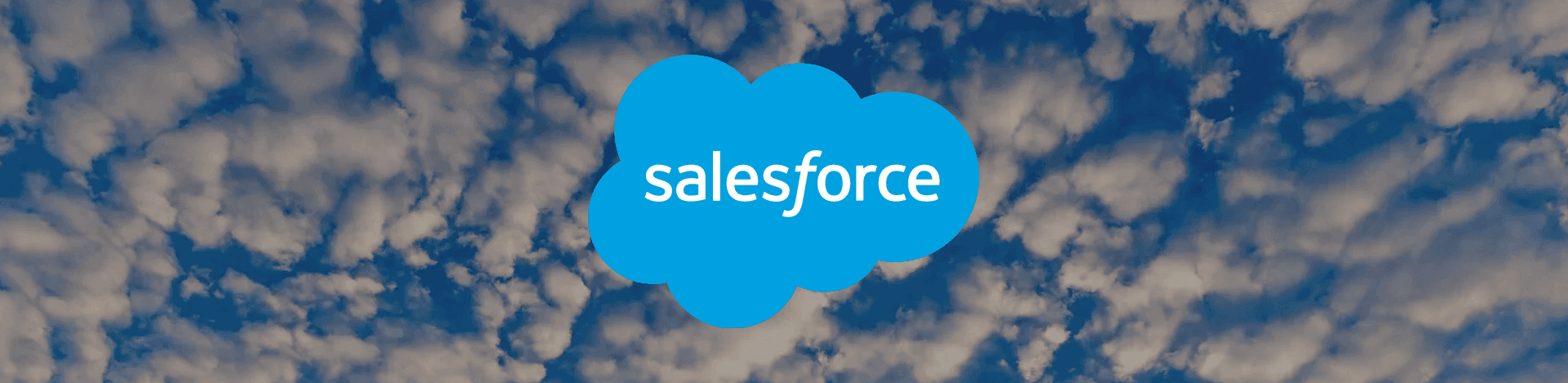 From Hours to Minutes for the World's Leading CRM